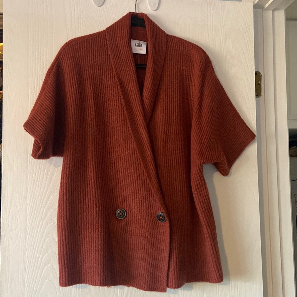 Rust colored Cabi sweater.